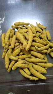 Fourniture en gros d'épices de haute qualité curcuma entier séché doigt de curcuma frais - Product Image 6