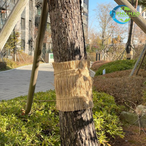 Top Product SEDGE MAT / Palm Mat Sedge Mat: Simple and Effective Tree Protection with High Quality - Product Image 2