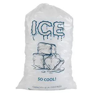 Ice Cooler Plastic Packaging Custom Handle Cotton Drawstring Printing Accepted Quality LDPE Bag Vietnam Supplier Good Price