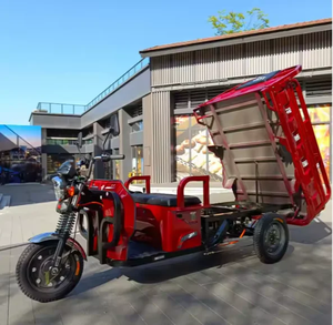 Meilleure vente de tricycle motorisé à essence Rickshaw/Bajaj/Auto Taxi Tricycles passagers Tuk - Product Image 3