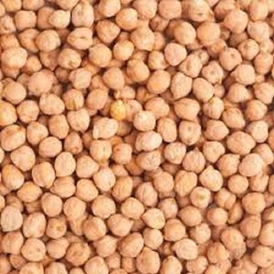 Exportador a Granel de Garbanzos Kabuli Indios de Primera Calidad, Garbanzos Blancos Premium para Curry, Ensaladas y Comidas Ricas en Proteínas a Precios Competitivos - Product Image 3