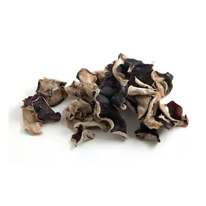 Prix de fabrication Champignon NOIR BIOLOGIQUE champignon noir séché funus noir - Product Image 3