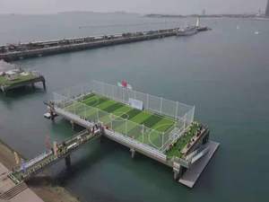 LDK equipos deportivos Venta directa de fábrica personalizada al aire libre jaula de fútbol para el entrenamiento de fútbol jaul - Product Image 3