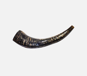Authentic Handcrafted Polished <b>Black</b> Buffalo Shofar Horn Featuring Rugged Distressed Golden Texture Traditional Religious Music - Product Image 4