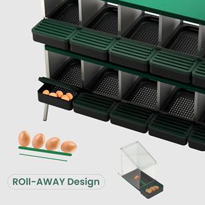 Solución Segura para Almacenamiento de Huevos: Caja de Nidificación Des Champs MG04D-L con <span class=keywords><strong>Ocho</strong></span> Compartimentos, Patas de Acero y Plástico PP - Product Image 6