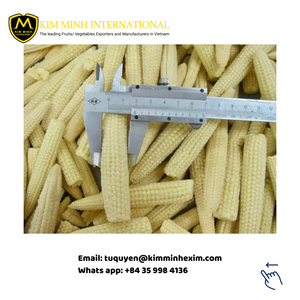 ข้าวโพดฝักอ่อนแช่แข็งจากเวียดนามเพื่อการส่งออก - Product Image 2