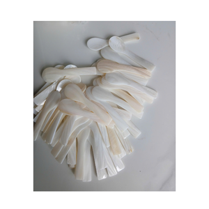 Cuillère élégante en coquillage pour servir du sel ou du caviar en nacre naturelle avec finition polie - Product Image 6