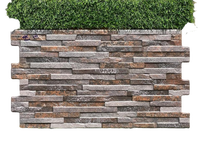 Carreaux muraux numériques en porcelaine ASPINO 310x560 mm, épaisseur 12 mm, design emboîtable, style moderne, antidérapants pour murs extérieurs - Vente chaude