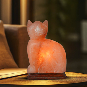 Lámpara de sal con forma de gato personalizada Lámpara de sal del Himalaya de alta calidad para decoración única del hogar Servicio OEM Lámpara de sal personalizada - Product Image 5