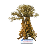 Vente chaude-Arbre bonsaï exquis de haute qualité pour plantes d'aquarium et accessoires en gros