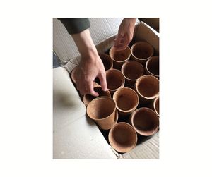 Maceta de coco de primera calidad: 100% natural, biodegradable para plántulas, ecológica, exportada directamente de proveedores de Vietnam - Product Image 4