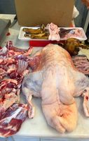 Graisse de queue d'agneau halal surgelée, viande fraîche 100% naturelle, procédé IQF, origine USA, qualité A, faible teneur en sucre, sans sucre ajouté, boîte de 10 kg