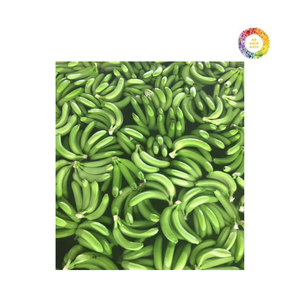 Plátano Cavendish fresco de granjas tropicales, adecuado para el comercio internacional y el procesamiento de alimentos, fabricado en Vietnam - Product Image 3