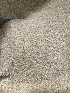 Semillas de Sésamo Negro Naturales Crudas, Blancas, Descascaradas, de Alta Calidad, con un 99.9% de Pureza y Alto Contenido de Aceite - Product Image 2