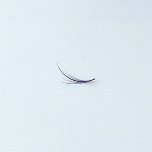 Belleza de nicho única encantadora para extensiones de pestañas suaves y esponjosas Nuevo diseño a granel para exportación - Product Image 3