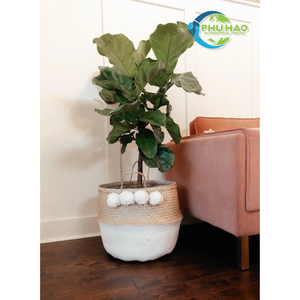 PANIERS DE VENTRE EN SEAGRASSE Naturelle avec Poignées Panier en Paille Élégant et Fonctionnel pour la Décoration de Maison Rustique Moderne - Product Image 4