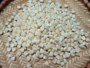 Semillas de Maíz Enceradas Secas Orgánicas de la Mejor Calidad para Cocina Saludable, Industria de Cereales y Snacks, Exportación a Granel y Venta al por Mayor - Product Image 3