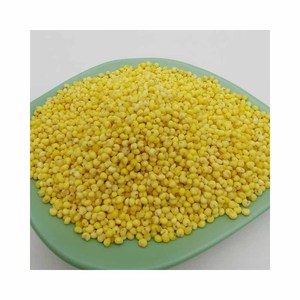 ข้าวบาร์เลย์และถั่วลูกเดือยสีเหลืองออร์แกนิกเกรดพรีเมี่ยมจากธรรมชาติ100% สำหรับอาหารมนุษย์
