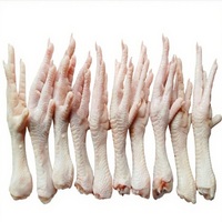 Pieds de poulet congelés de haute qualité et pattes de poulet halal pour l'approvisionnement alimentaire international