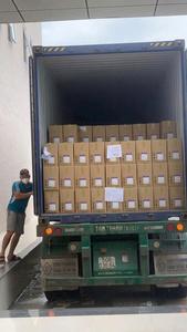 CHIPS DE COCO MÁS VENDIDOS para paquetes de snacks y como topper en batidos, bandejas de postres y mezclas de cereales, Vietnam - Product Image 5