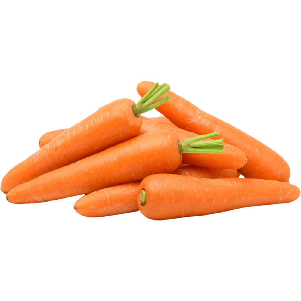 Promotional Quality Fresh Carrots 2024 Fresh 100% Organic Carrots