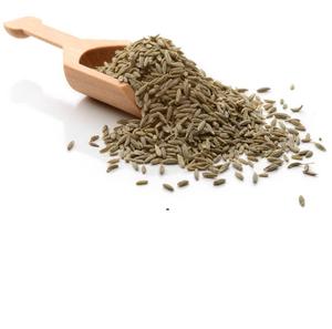 เมล็ดเจีย (สีดำ) |   บริสุทธิ์และสะอาด |   ผู้จัดจำหน่ายสินค้าขายส่งจำนวนมากจากอินเดีย - Product Image 4