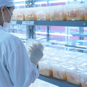 Offre Spéciale prix usine séché Cordyceps Militaris champignon haute teneur en Cordycepin lyophilisation complément alimentaire - Product Image 5