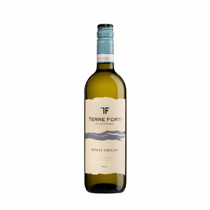 TERRE FORTI Pinot Grigio Delle Venezie DOC 750ml Crisp Elegant Italian White <b>Wine</b> 6 Bottles Per Box Made in Italy - Product Image 2