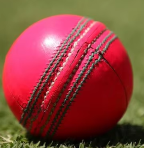 Pelota de críquet dura de cuero rojo personalizable de la mejor calidad, tamaño 4, a elección de los jugadores de críquet - Product Image 2