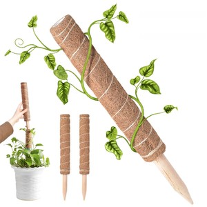 Los mejores suministros de jardín palo de planta de musgo de coco para plantas de vid trepadoras estacas de soporte de plantación de fibra de coco - Product Image 2