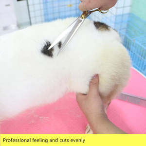 Professional Stainless Steel Luxury <b>Dog</b> Grooming Scissors-Portable Multi-functional Pet <b>Shears</b> - Product Image 6