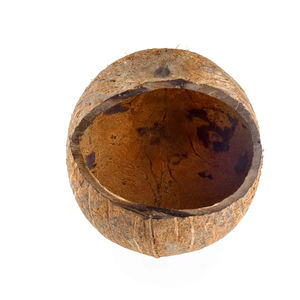 100% Natural <b>Coconut</b> Shell Bird Feeders Handmade Rounded Bird House Bowls Eco-Friendly Wholesale Price Available for Pets - Product Image 5