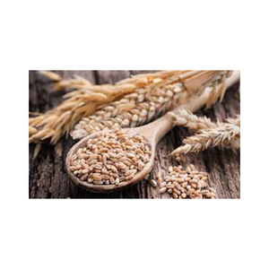 Grano de trigo de alta calidad NATURAL al por mayor de alto fabricante nuevo mejor material con tarifa barata - Product Image 6