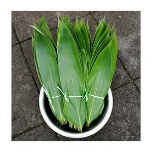 ใบไผ่สดและแห้งใบไผ่คุณภาพสูงจากเวียดนามสำหรับบรรจุภัณฑ์เค้กแบบธรรมชาติและดั้งเดิม - Product Image 1