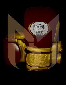 Guantes de boxeo profesionales duraderos No Boxing No Life Design Elite Performance Guantes de boxeo Guantes de combate cómodos y protectores - Product Image 2