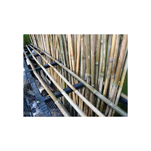Wholesale Bamboo Poles <b>Tube</b>/ Materials High Quality Vietnam Factory Bamboo Pole With Customized Size - Product Image 2