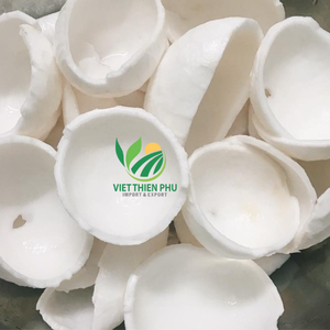 Venta al por mayor de carne de coco congelada de primera calidad de VIET THIEN PHU alimentos saludables con sabor dulce proceso IQF empaquetado a granel - Product Image 5