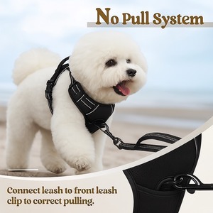 Ensemble de harnais pour animaux de compagnie en Nylon souple de qualité supérieure sans traction réglable gilet de chien de marche en plein air laisse harnais de soutien dorsal anti-déflagrant - Product Image 3