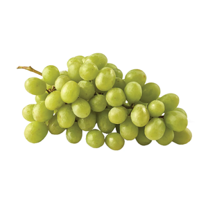 <b>GRAPES</b> SWEET GLOBE WHITE SEEDLESS PREMIUM QUALITY - Product Image 6