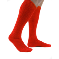 Chaussettes bavaroises pour hommes en polyester tissé de haute qualité, antibactériennes, séchage rapide, respirantes, couleurs personnalisées, blanc, noir, bleu, fabrication en usine