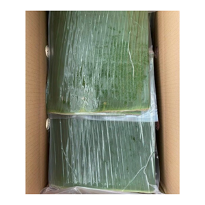 Feuilles de bananier congelées de haute qualité provenant d'un fournisseur fiable du Vietnam, parfaites pour l'emballage alimentaire, la cuisson et la vente en gros en vrac - Product Image 5