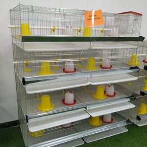 Di alta qualità del bambino pulcino H tipo 3/4 livelli da 90 a 320 uccelli pollame allevamento caldo zincato batteria Brooder gabbia di pollo per la vendita - Product Image 1