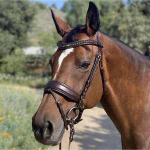 Bride en cuir de cheval de qualité supérieure en marron - Product Image 4