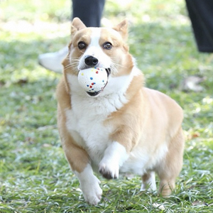 Bola de entrenamiento para perros con masticación explosiva, material ecológico, juguete para mascotas de alta elasticidad - Product Image 3