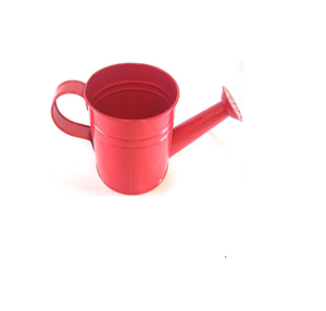 Regadera Moderna de Acero Inoxidable Hecha a Mano con Asa, Capacidad de 8L, Acabado Galvanizado Ecológico, Venta al por Mayor - Product Image 3