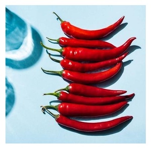พริกแดงสดขนาดใหญ่เกรดพรีเมียม แนะนำเป็นสินค้าขายดี ผู้ผลิตผักสด - Product Image 2