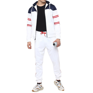 Ventes en gros de survêtements de haute qualité, fabricants OEM, hommes, polaire épais, ensemble de survêtement à capuche et jogging 2 pièces, survêtement zippé pour hommes - Product Image 6