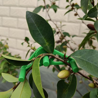 Supports de plantes réglables en plastique multicolores à faible impact sur les plantes - Pinces de formation et plieurs pour plantes, pour serre, jardin et usage domestique RAPITECH