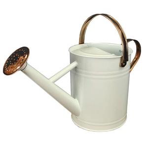 บัวรดน้ำโลหะดีไซน์หรูหราออกแบบโลโก้ได้ตามต้องการซัพพลายเออร์ในสวน - Product Image 1