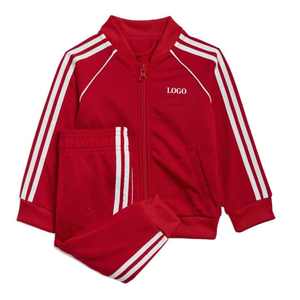 Ensemble de survêtement sportif hiver à capuche uni, bleu roi, décontracté, en maille, avec pantalon de survêtement et veste, séchage rapide, logo personnalisé, fabrication OEM - Product Image 2
